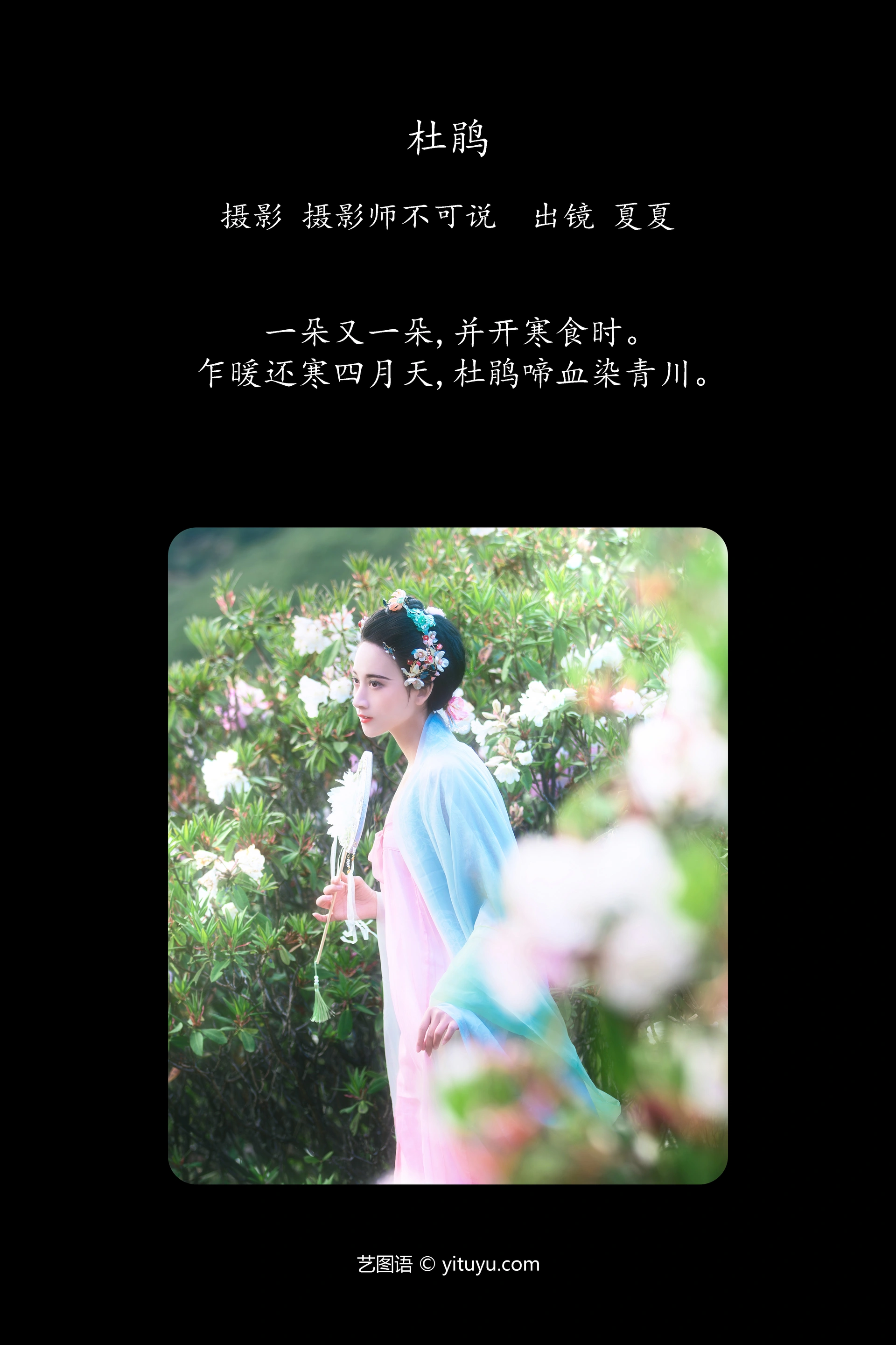 [YITUYU艺图语]2024.10.16 杜鹃 半夏夏夏 0